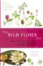 Rose Francis The Wild Flower Key identification