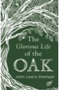 Lewis-Stempel John The Glorious Life of the Oak цена и фото