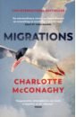 McConaghy Charlotte Migrations clare horatio a single swallow following an epic journey from south africa to south wales
