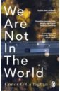 O`Callaghan Conor We Are Not in the World maconie stuart long road from jarrow a journey through britain then and now