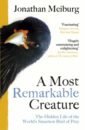 darwin charles voyage of the beagle Meiburg Jonathan A Most Remarkable Creature. The Hidden Life of the World’s Smartest Bird of Prey