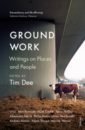 in stock 2019 new 45008 emmet Dee Tim Ground Work. Writings on People and Places