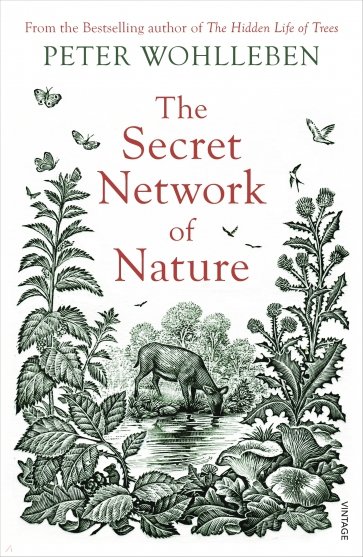 The Secret Network of Nature