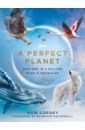 Cordey Huw A Perfect Planet jeffers oliver here we are notes for living on planet earth