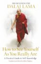 Dalai Lama How to See Yourself As You Really Are lama dalai how to practise