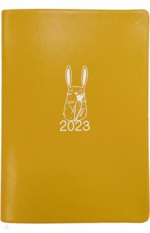 

Ежедневник датированный на 2023 год Rabbit, 176 листов, А5, оранжевый