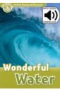 Palin Cheryl Oxford Read and Discover. Level 3. Wonderful Water Audio Pack palin cheryl new year s eve level 4