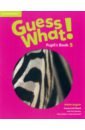 Reed Susannah, Bentley Kay Guess What! Level 5. Pupil's Book reed susannah guess what level 3 flashcards pack of 75