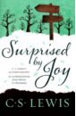 Lewis Clive Staples Surprised by Joy kenneth psy d dobbin why god gave his spirit