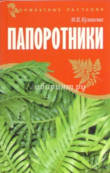 Папоротники