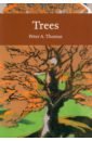 Thomas Peter Trees volant iris under the canopy trees around the world