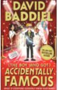 Baddiel David The Boy Who Got Accidentally Famous rutter helen the boy who made everyone laugh