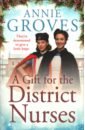 Groves Annie A Gift for the District Nurses douglas donna the nurses of steeple street