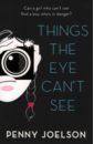Joelson Penny Things the Eye Can't See page libby the lido