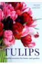 Eastoe Jane Tulips. Beautiful varieties for home and garden