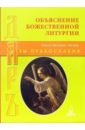 Объяснение Божественной литургии - Епископ Виссарион (Нечаев)