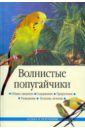 Волнистые попугайчики - Жалпанова Линиза Жувановна