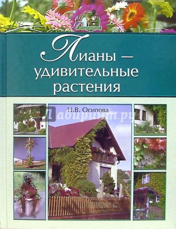 Лианы - удивительные растения