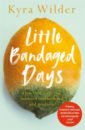 Wilder Kyra Little Bandaged Days inferno a memoir of motherhood and madness