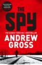 Gross Andrew The Spy copeland andrew spy pups treasure quest