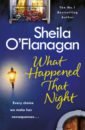 цена O`Flanagan Sheila What Happened That Night