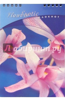Блокнот А5 48 листов (клетка) Розовая орхидея (пружина) /С2852.