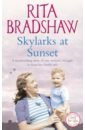Bradshaw Rita Skylarks At Sunset bradshaw rita one snowy night