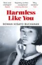 Buchanan Rowan Hisayo Harmless Like You bray carys shukla nikesh buchanan rowan hisayo how much the heart can hold seven stories on love
