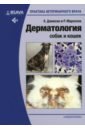 Обложка Дерматология собак и кошек