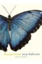 Ротери Бен Загадочный мир бабочек энциклопедии махаон ротери б загадочный мир бабочек