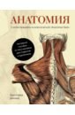 Джозеф Кристофер Анатомия куртис джозеф анатомия с иллюстрациями из классической анатомии грея