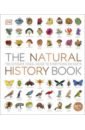 The Natural History Book. The Ultimate Visual Guide to Everything on Earth rocks and minerals