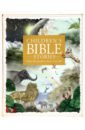 Children's Bible Stories. Share the greatest stories ever told