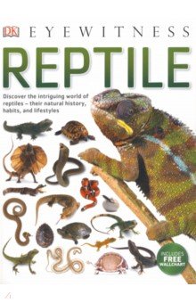 Reptile