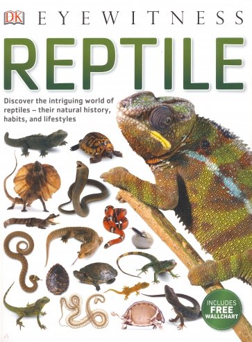 Reptile