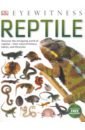 Reptile eyewitness tudor