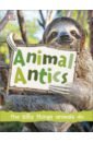 Harvey Derek Animal Antics harvey derek what s where on earth animal atlas
