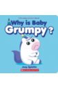 Spiotto Joey Why Is Baby Grumpy? it s mine board book