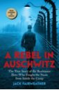 Fairweather Jack A Rebel in Auschwitz bleakley fred r the auschwitz protocols czeslav mordowicz and the race to save hungary s jews