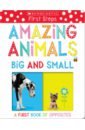 Amazing Animals Big and Small opposites