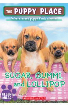 

Sugar, Gummi and Lollipop