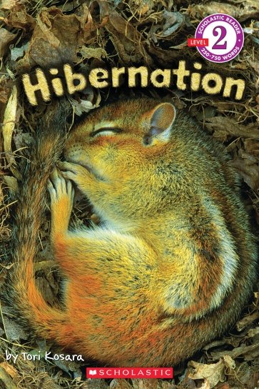 Hibernation. Level 2