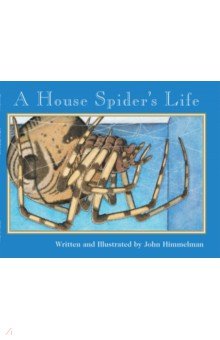 A House Spider s Life