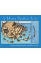 Himmelman John A House Spider's Life peter himmelman – gematria lp винил грампластинка canada 1987 г