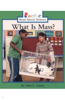 What Is Mass?