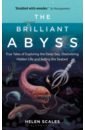 Scales Helen The Brilliant Abyss. True Tales of Exploring the Deep Sea, Discovering Hidden Life de saulles tony the deep dark sea