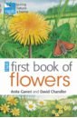 Ganeri Anita, Chandler David RSPB First Book of Flowers ganeri anita amazing earth