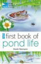 Niemann Derek RSPB First Book Of Pond Life robinson michelle a beginner s guide to bear spotting