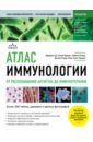 Атлас иммунологии. От распознавания антигена до иммунотерапии
