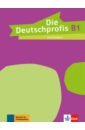 Sarvari Tunde Die Deutschprofis. B1. Lehrerhandbuch swerlowa olga die deutschprofis a1 ubungsbuch